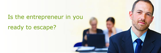 Market research software for women with business ideas